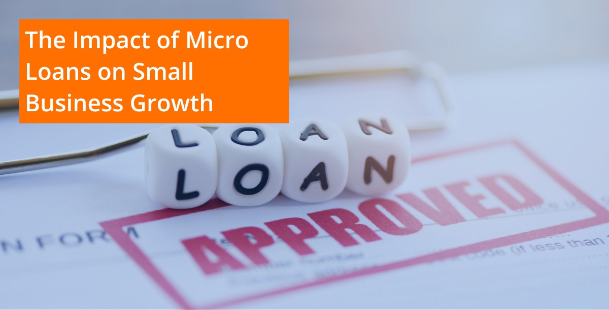 Impact Of Micro Loan