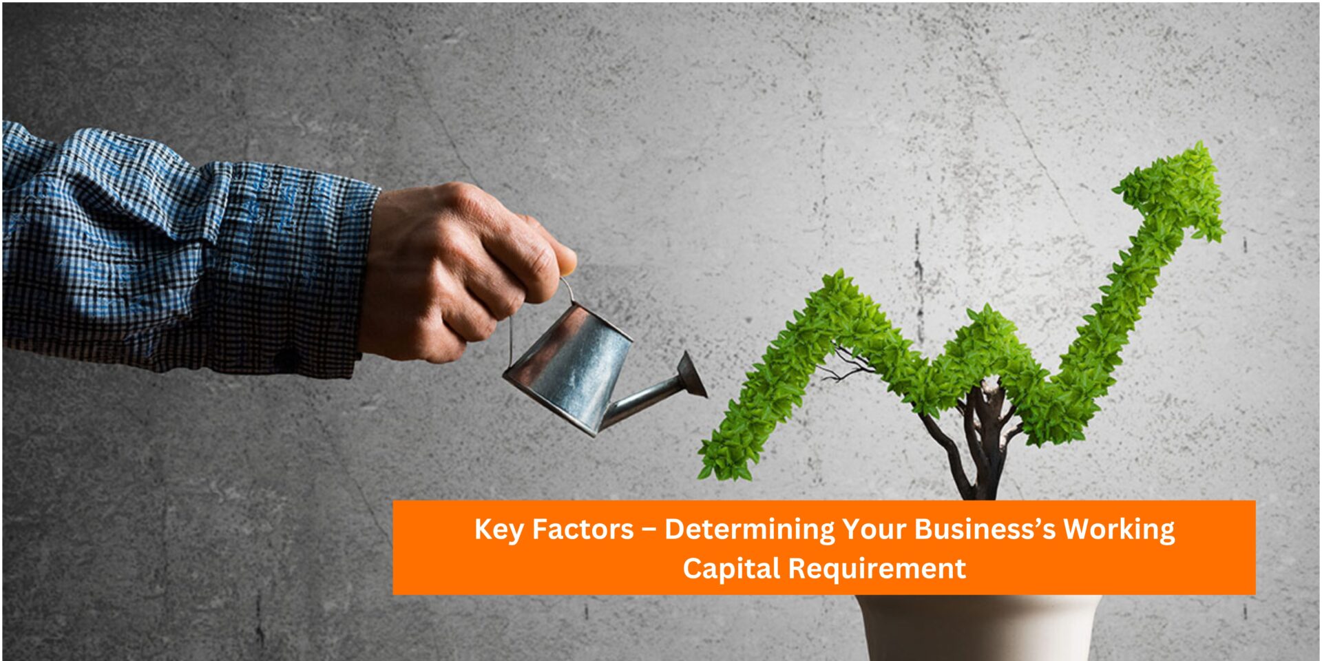 Factors Affecting Working Capital Needs